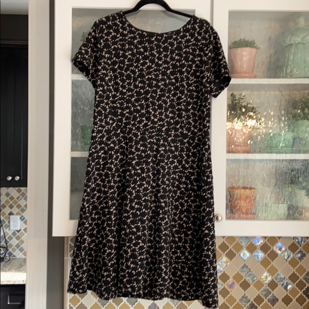 Ann Taylor Loft Dress